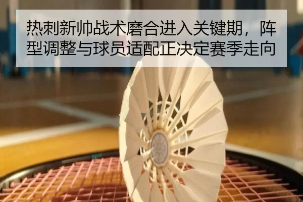 热刺新帅战术磨合进入关键期，阵型调整与球员适配正决定赛季走向
